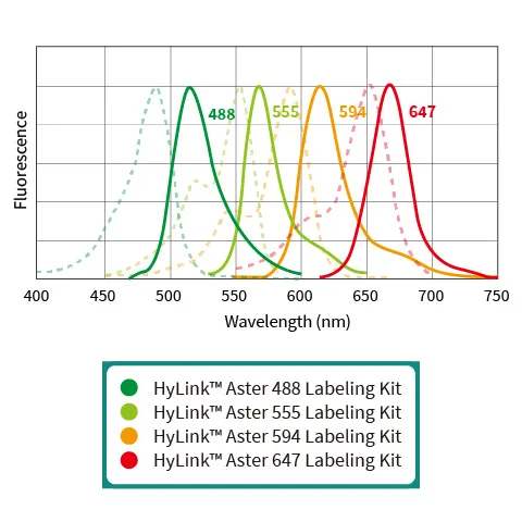 HyLink™ Aster 647 Labeling Kit, 100 μg*1 (SpinDesalt Column)